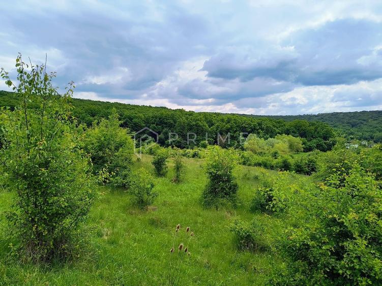 Oportunitate de investiție – 4 parcele în Corunca, 20 €/mp