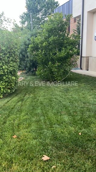 Vanzare casa Paradisul Verde Corbeanca - 18