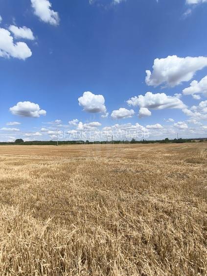 TEREN COCOSESESTI//INTRAVILAN - 4