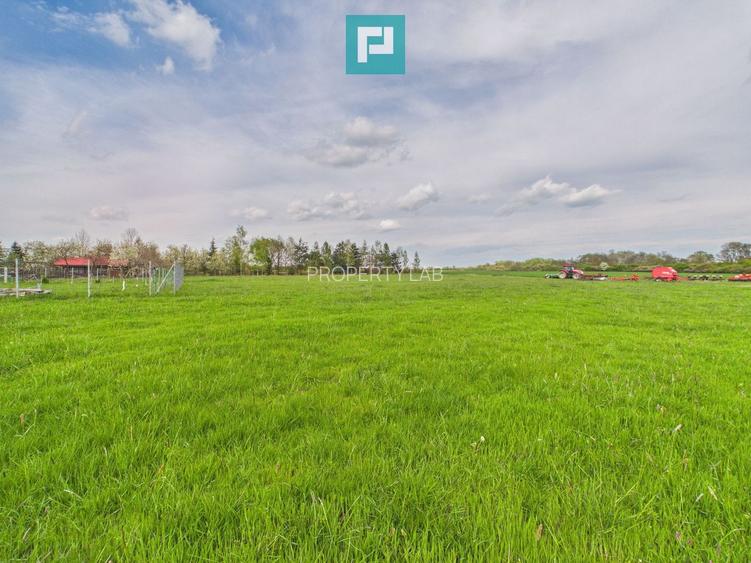 Teren intravilan, 820 mp, Pădure Giroc - 4