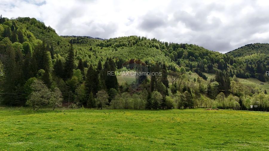 Extravilan + Intravilan | Sătic-Rucăr | Cadru natural | Turistic - 11