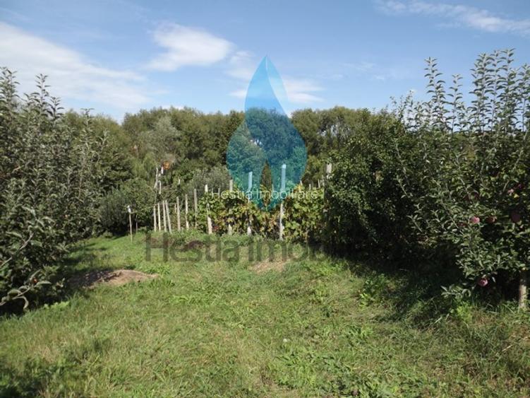 3240mp teren intravilan , Barnova-Iasi. - 2