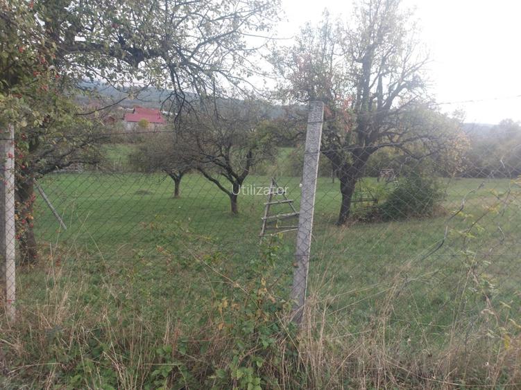 Teren Josenii Bargaului - 2