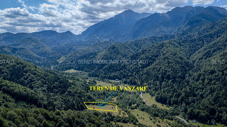 Teren superb in Rasnov Glajerie retras si intim - 5