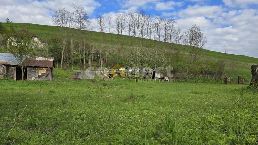 De vanzare teren superb in Ciurila – 500 mp de liniste, verdeata si potential - 3