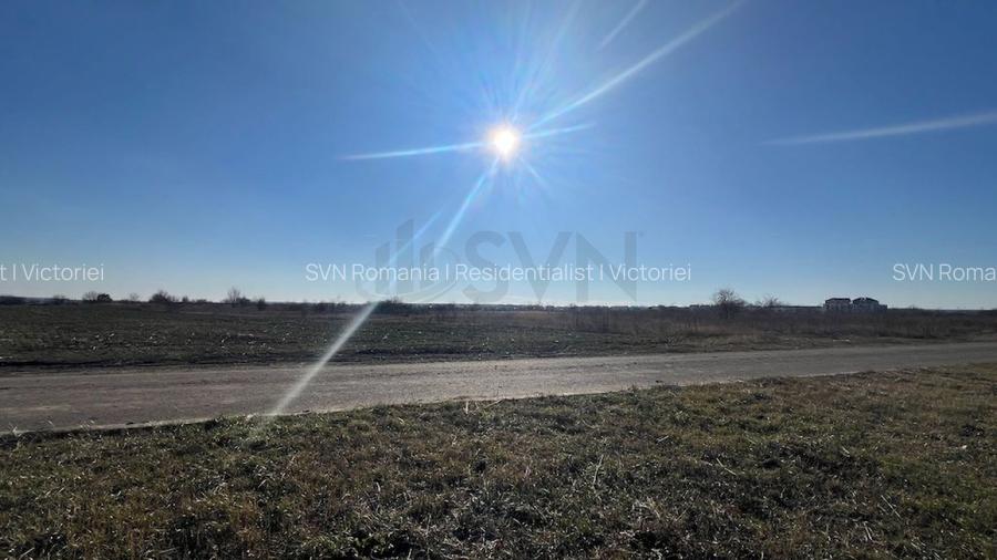 REL4000892 Corbeana - Ostratu 15200 mp langa padure - 5