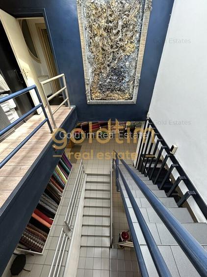 IMOBIL ICONIC: AFTER SCHOOL/COMERCIAL/BIROURI/SCOALA DE ARTA/BD PACHE - PRO TV - 23