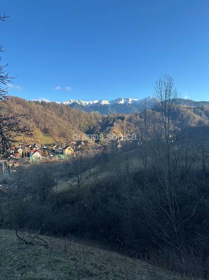 Teren de vanzare intravilan  Bran - 5