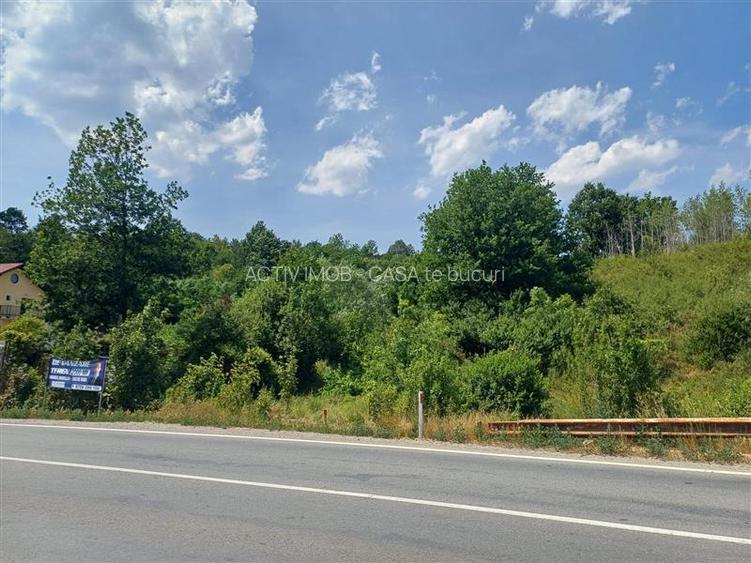 Resita, Terenuri Intravilane 2000 Mp., 28 Euro Mp., Calea Caransebesului, Mement - 12