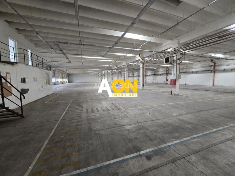 Hala 2750mp Utili Zona Centrala, 2800mp Teren - 5