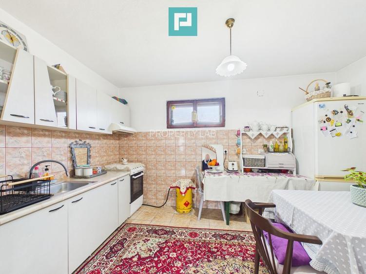 Casă cu 6 camere pe teren de 2029 mp – Miniș - 11