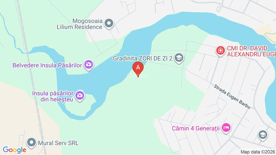 Lot teren Mogosoaia - Oportunitate excelentă de investiție - 2