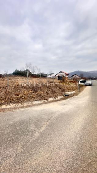 TAUTII MAGHERAUS - drumu Nistrului 16 ari teren intravilan pt case! - 6