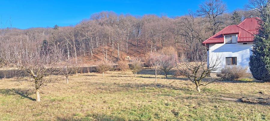 Propriete superbă la marginea pădurii în Râșnov Primăverii 5,000 mp - 25