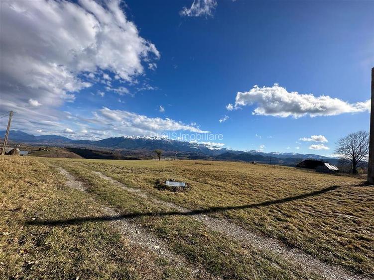 TEREN INTRAVILAN SIRNEA/ 4000 MP/ - 5