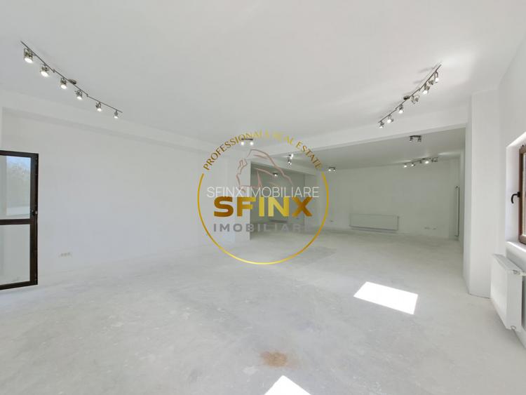 De inchiriat Spatiu Sisesti - Baneasa - 6