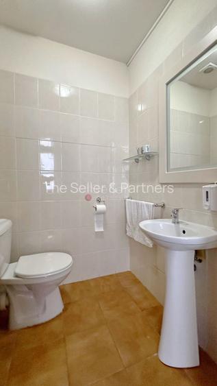 Zona Centrala Structura Generoasa - 6