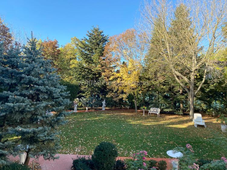 Eleganta clasica, vila cu prestanta si teren 1600 mp, 2 garaje, Otopeni Ferme - 11