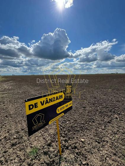 Teren extravilan - constructii industriale 5ha | Sag | Frigoglass - 2