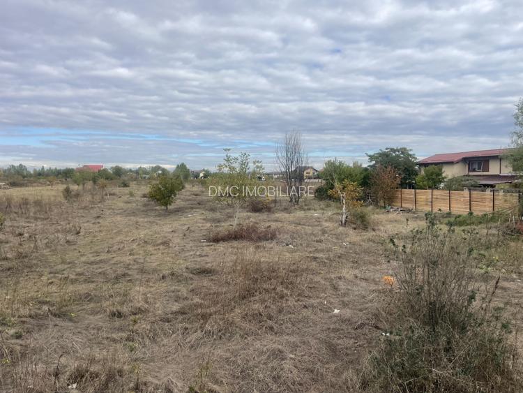 Domnești, Drumul Târgului, teren 1876 mp, 66ml x 28 ml, se poate parcela - 6