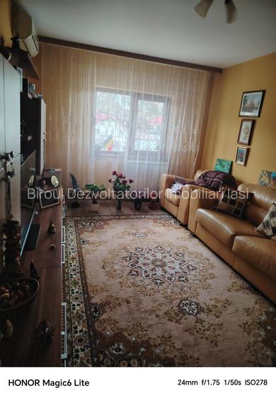 Apartament cu 3 camere, mobilat si utilat, etaj3/4, Pacurari, Centru, Copou - 11