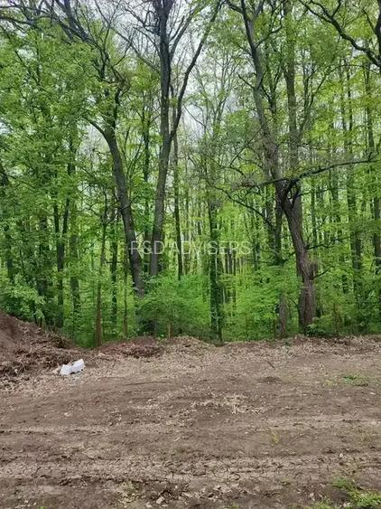 Apartament High End 4 Camere | Padurea Baneasa | Iancu Nicolae | - 6