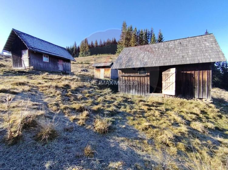 Teren 31,461mp Panaci / Prelungirea Ialovita - 13