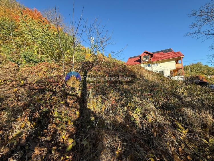 Teren intravilan 1543 mp – zona Darmanesti - 5