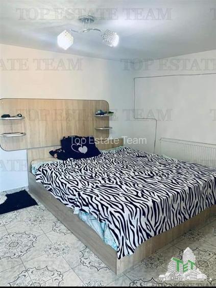 Vila comuna Pantelimon Lebada - 12