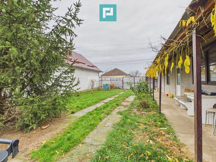 Casă cu 4 camere în Chișineu Criș - 15