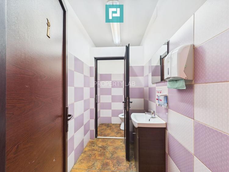 Pensiune la Orțișoara - 19