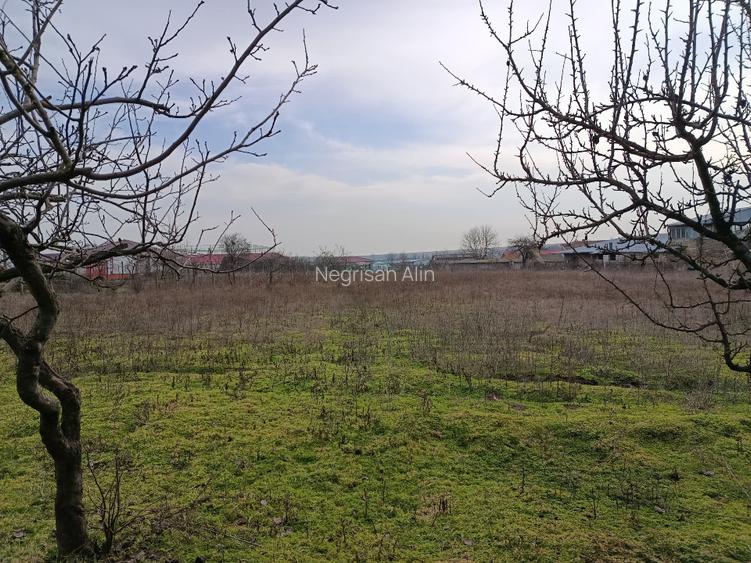 Casă + Teren 4625 mp – Cataloi (10 min de Tulcea) - 5