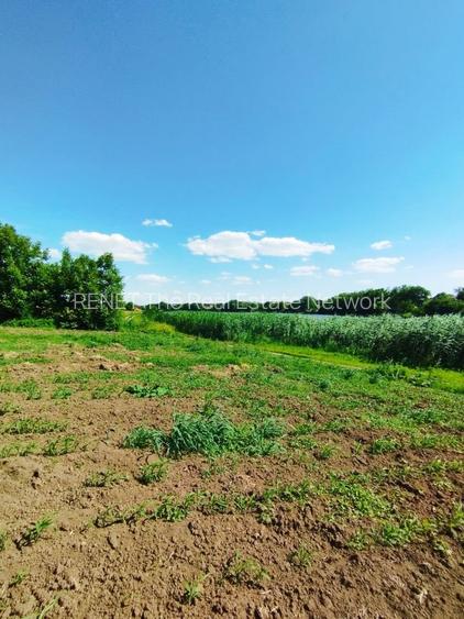 MEGA OCAZIE SE VINDE TEREN 10.600 DE METRI LA PRET DE 6.600 CU DESCHIDRE LA LAC - 6