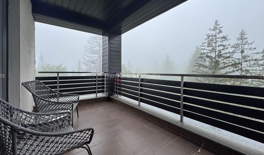 Priveliste spre masivul Postavarul - 2