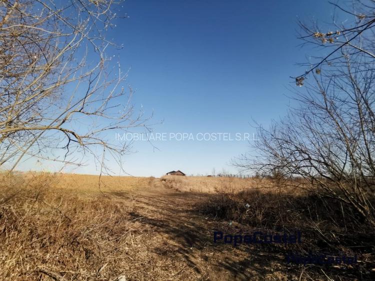 Silistea Snagovului teren intravilan 900 mp + 100 mp drum servitute - 6