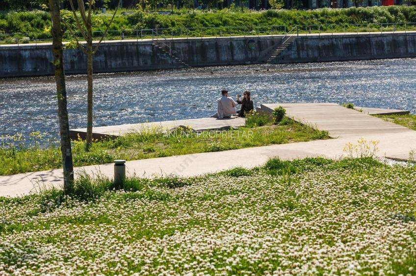 Apartament 1 cameră, 35 mp, parter înalt, ideal locuit sau birou, lângă Someș - 13