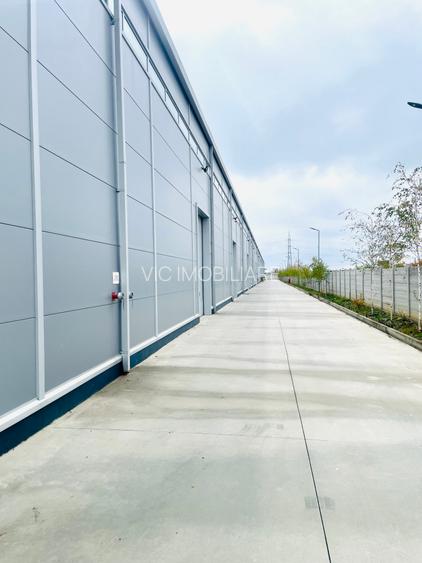 Hala - Drumul Intre Tarlale - Noua - Aviz ISU - 2