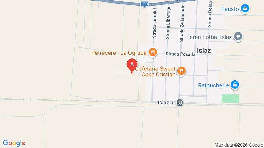 Teren Branesti Islaz Propietar - 6