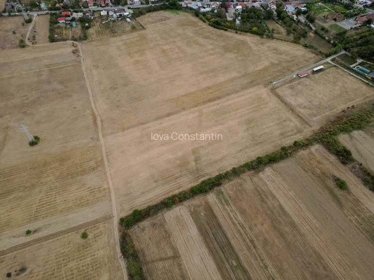 Teren intravilan 30.110 mp Filipeștii de Târg – ideal investiție / dezvoltare –  - 8