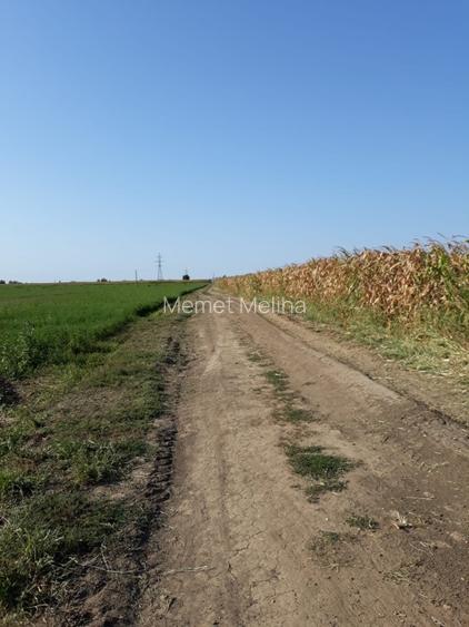 Vand teren extravilan comuna Agigea - 5