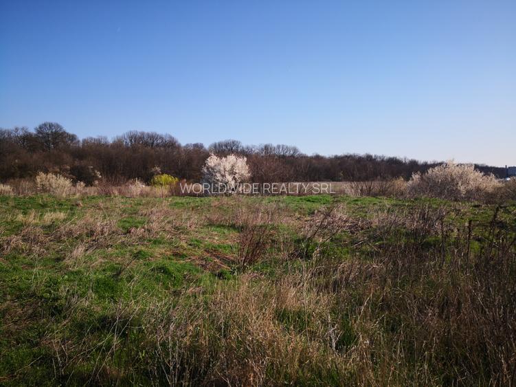 Otopeni -str 23 August, zona case noi - 4