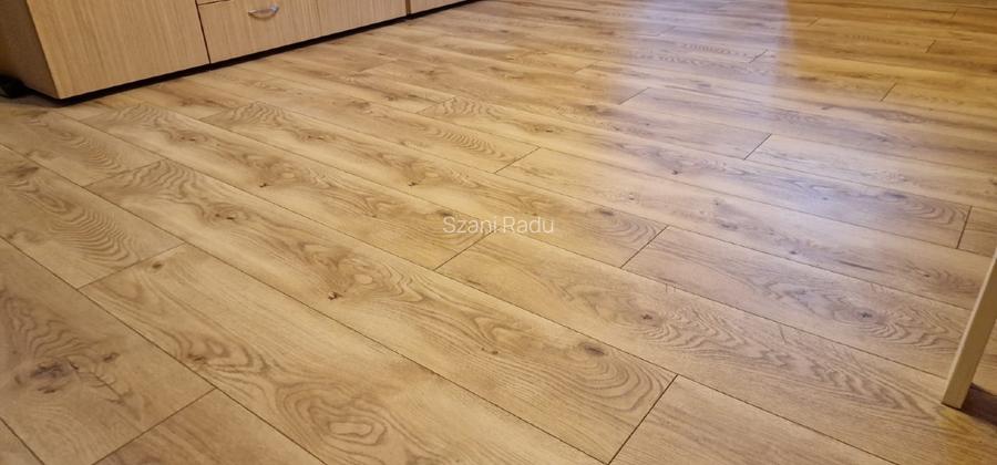 Apartament de vanzare 85000 euro/negociabil - direct de la proprietar  - 3