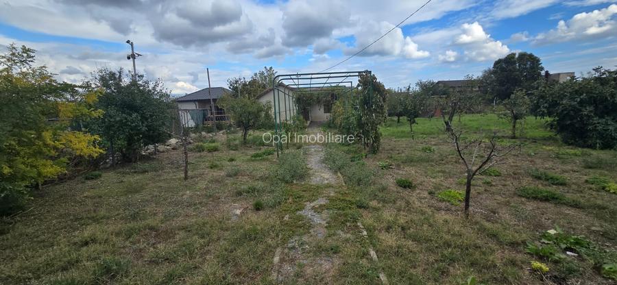 Exclusivitate-Vadu, zona centrala, casa 75mp, teren 1917 mp/31ml deschidere - 7