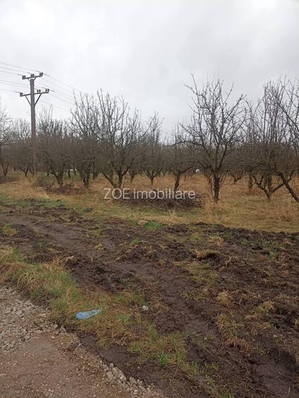 De vânzare terenuri intravilane - 5