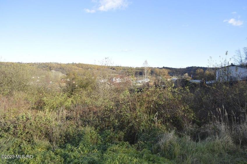 Babana - Centru - Primarie, Teren intravilan 13742 mp! - 8