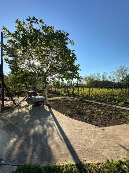 Direct proprietar: Casă demolabilă + teren 1167mp - 6