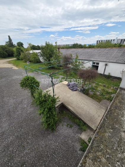 Teren cu hale de vanzare sau inchiriere ideal  investitie - Medies - 3