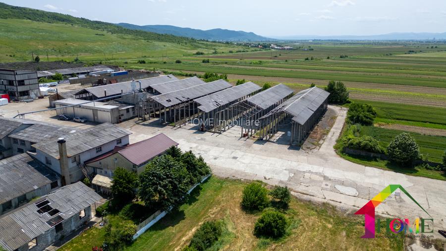 Teren 100.000 mp + Spatii Industriale Bacau - 2