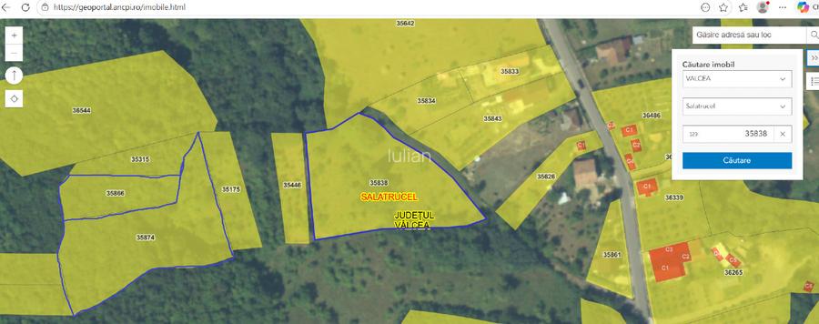 Teren Salatrucel Valcea intravilan cu curent trifazat 380V, faneata si padure - 2