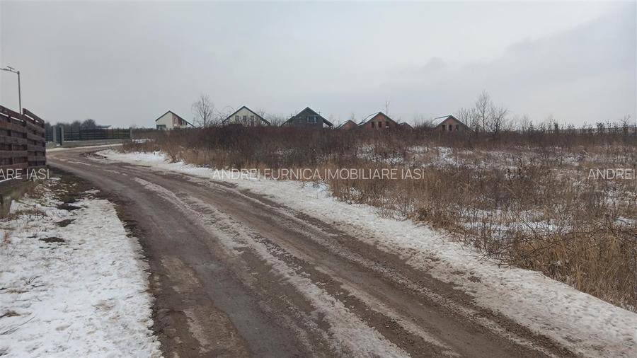 Visan str Dealul Craitelor TEREN 6383mp  si 4217mp utilitati  si transport in co - 5